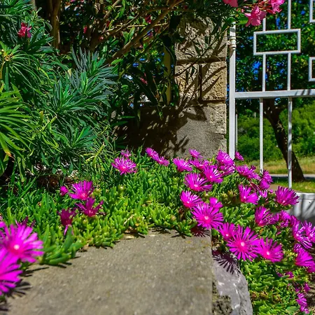 Adriana-2 By Interhome Apartment Sibinj Krmpotski